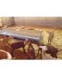 Trémie deux côtés E001 3 mètres (capacité : 169 kg) pour agneaux