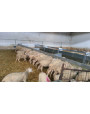 Auge d'aliments et de fourrage pour ovins B009