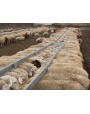 Auge d'aliments, de paille ou Unifeed-B013-3M pour ovins